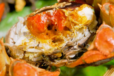 如何判断阳澄湖大闸蟹的新鲜度？