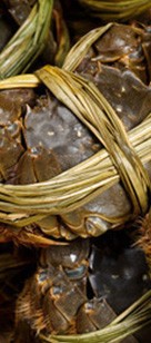 阳澄湖哪里吃大闸蟹好